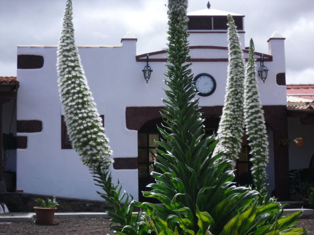 Valle de Guerra Finca El Picacho酒店 外观 照片